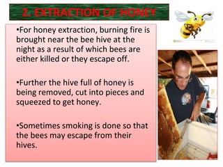 How the Honeybees use The Mikado Method
