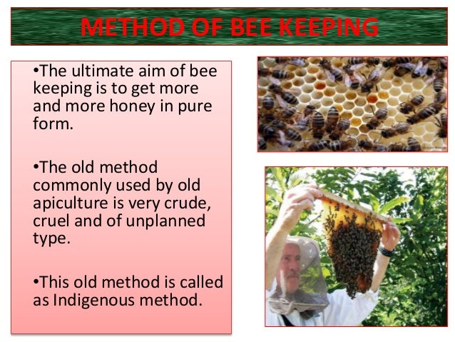Method of Beekeeping
