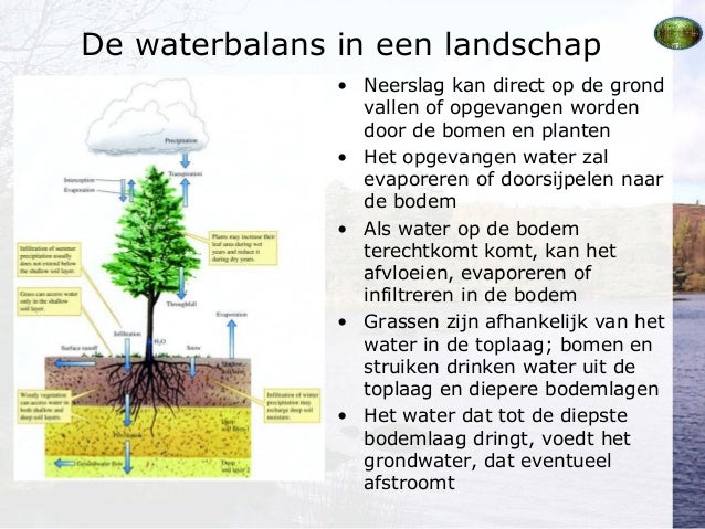 Deel 6 Invloed van water op ecosystemen