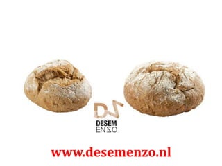 www.desemenzo.nl