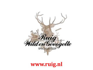 www.ruig.nl