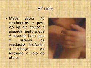 8º mês
• Mede       agora  45
  centímetros e pesa
  2,5 kg ele cresce e
  engorda muito o que
  é bastante bom para
  o      sistema    de
  regulação frio/calor,
  a cabeça          vai
  forçando o colo do
  útero.
 
