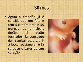 3º mês
• Agora o embrião já é
  considerado um feto e
  tem 5 centímetros e 35
  gramas os principais
  órgãos     já    estão
  formados, já consegue
  dar cambalhotas ,abrir
  a boca ,pestanejar e já
  se ouve o bater do seu
  coração.
 