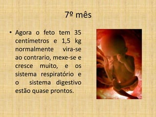7º mês
• Agora o feto tem 35
  centímetros e 1,5 kg
  normalmente vira-se
  ao contrario, mexe-se e
  cresce muito, e os
  sistema respiratório e
  o    sistema digestivo
  estão quase prontos.
 