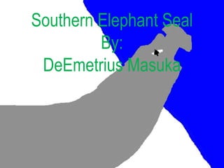 Southern Elephant Seal
         By:
 DeEmetrius Masuka
 