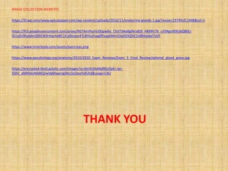 THANK YOU
IMAGE COLLECTION WEBSITES
https://i0.wp.com/www.aplustopper.com/wp-content/uploads/2016/11/endocrine-glands-1.jpg?resize=2374%2C1448&ssl=1
https://lh3.googleusercontent.com/proxy/KG7AnVhohU0GpwKo_ChjI73Ao8glNraBJ9_H8XRti76_uT0Xgn9t9UbQB0U-
lD1o0n9hpbbnQ9tEW4rttqr4xBE1JCq9eiqxz47L8HtuDsxg0PeapbMmiOqHiDQStE1lxBMadwl7ylJF
https://www.innerbody.com/assets/pancreas.png
https://www.apsubiology.org/anatomy/2010/2010_Exam_Reviews/Exam_5_Final_Review/adrenal_gland_gross.jpg
https://encrypted-tbn0.gstatic.com/images?q=tbn%3AANd9GcQxEr-lpr-
SS0V_aMKfetvNABIQrwVgMwprzgWccSzOearhdUhd&usqp=CAU
 
