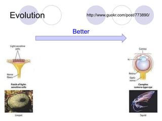 Evolution http://www.guokr.com/post/773890/
Better
 