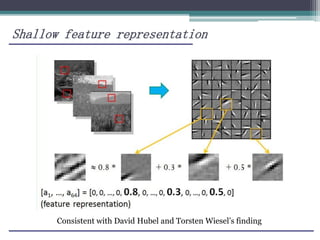 Shallow feature representation
Consistent with David Hubel and Torsten Wiesel’s finding
 
