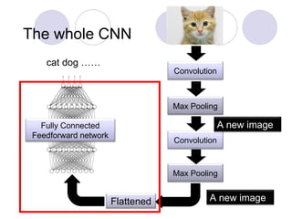 Comprehensive Introduction to Convolutional Neural Networks (CNNs) and ...