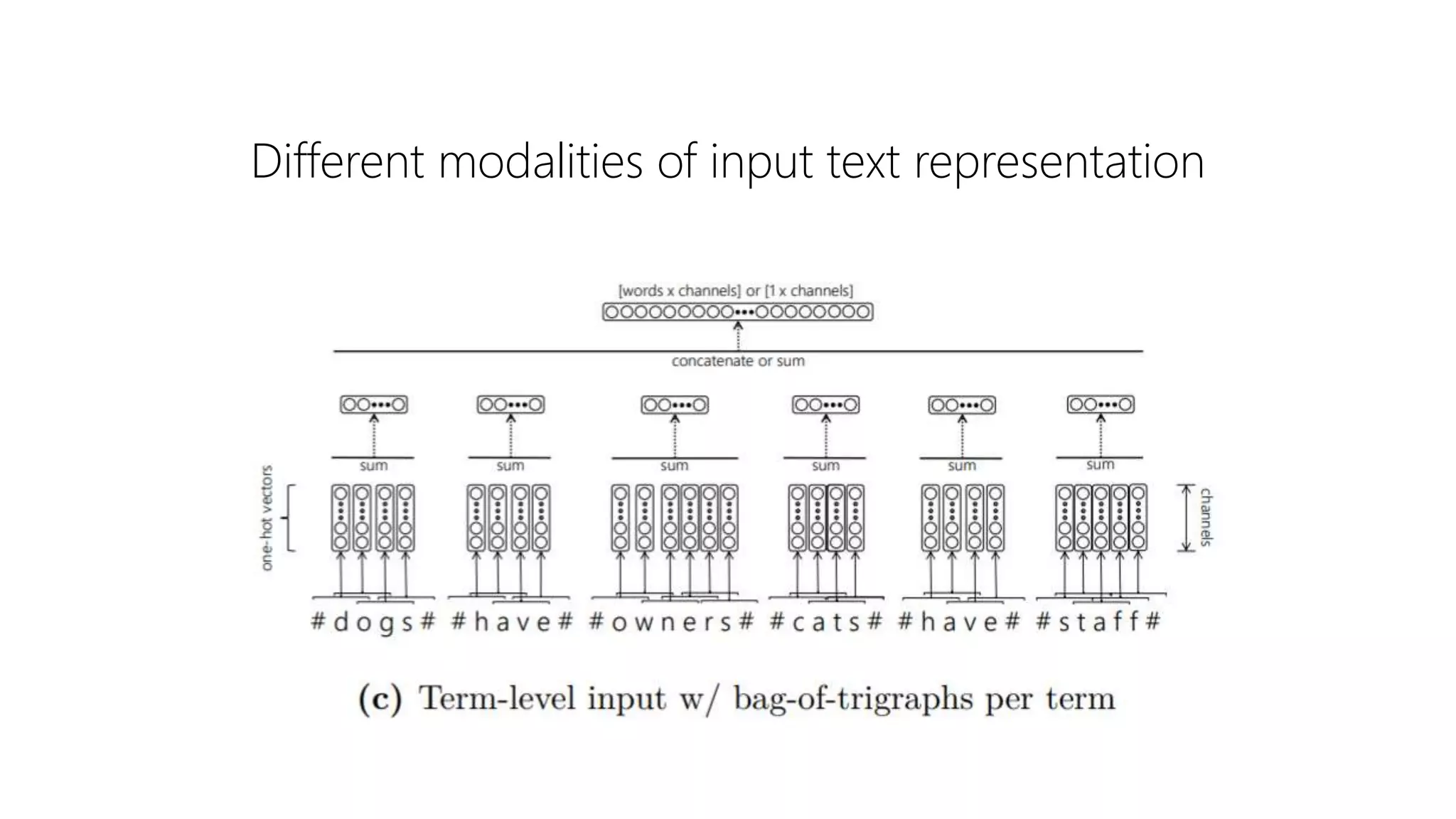 Different modalities of input text representation
 