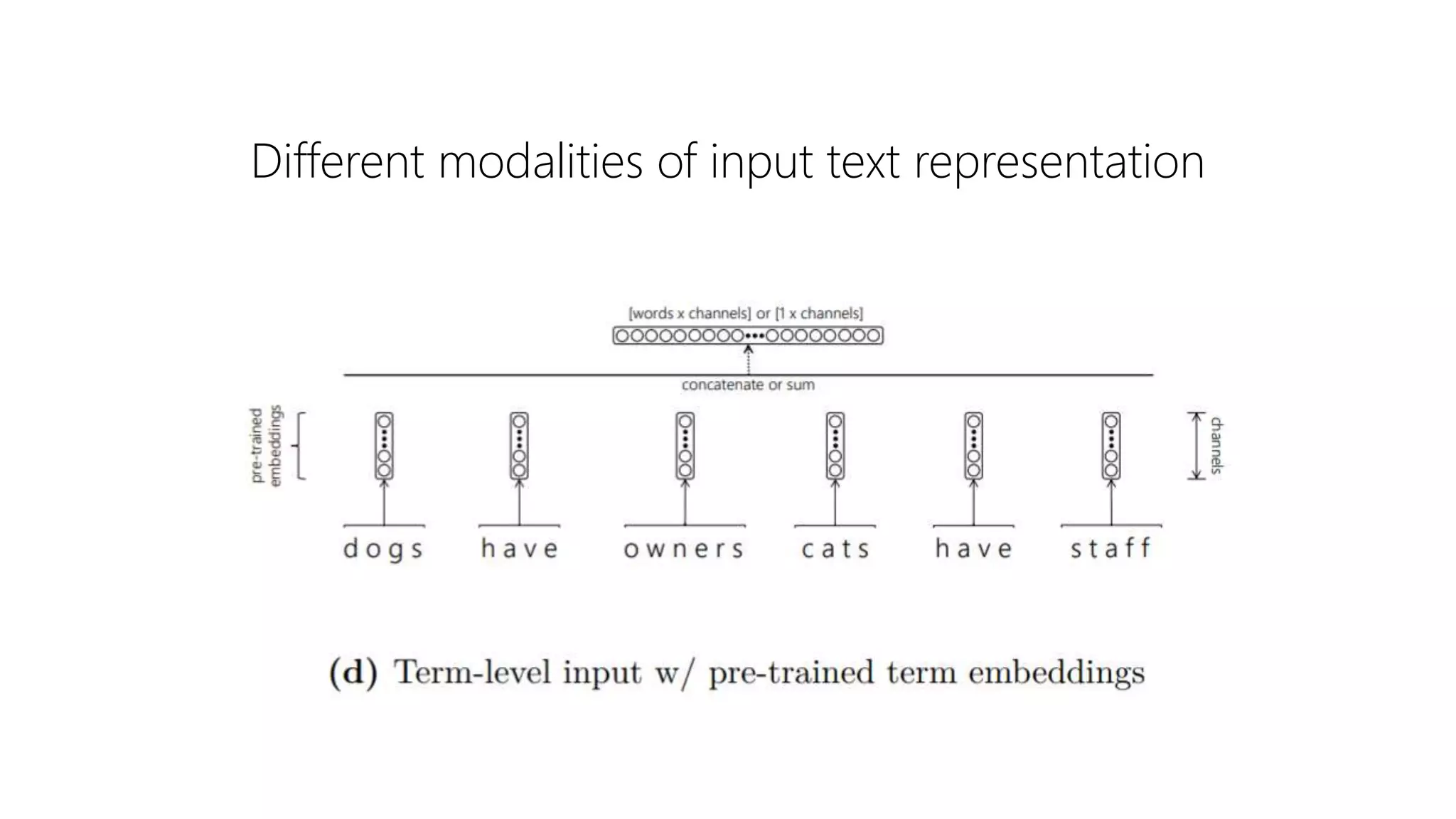 Different modalities of input text representation
 
