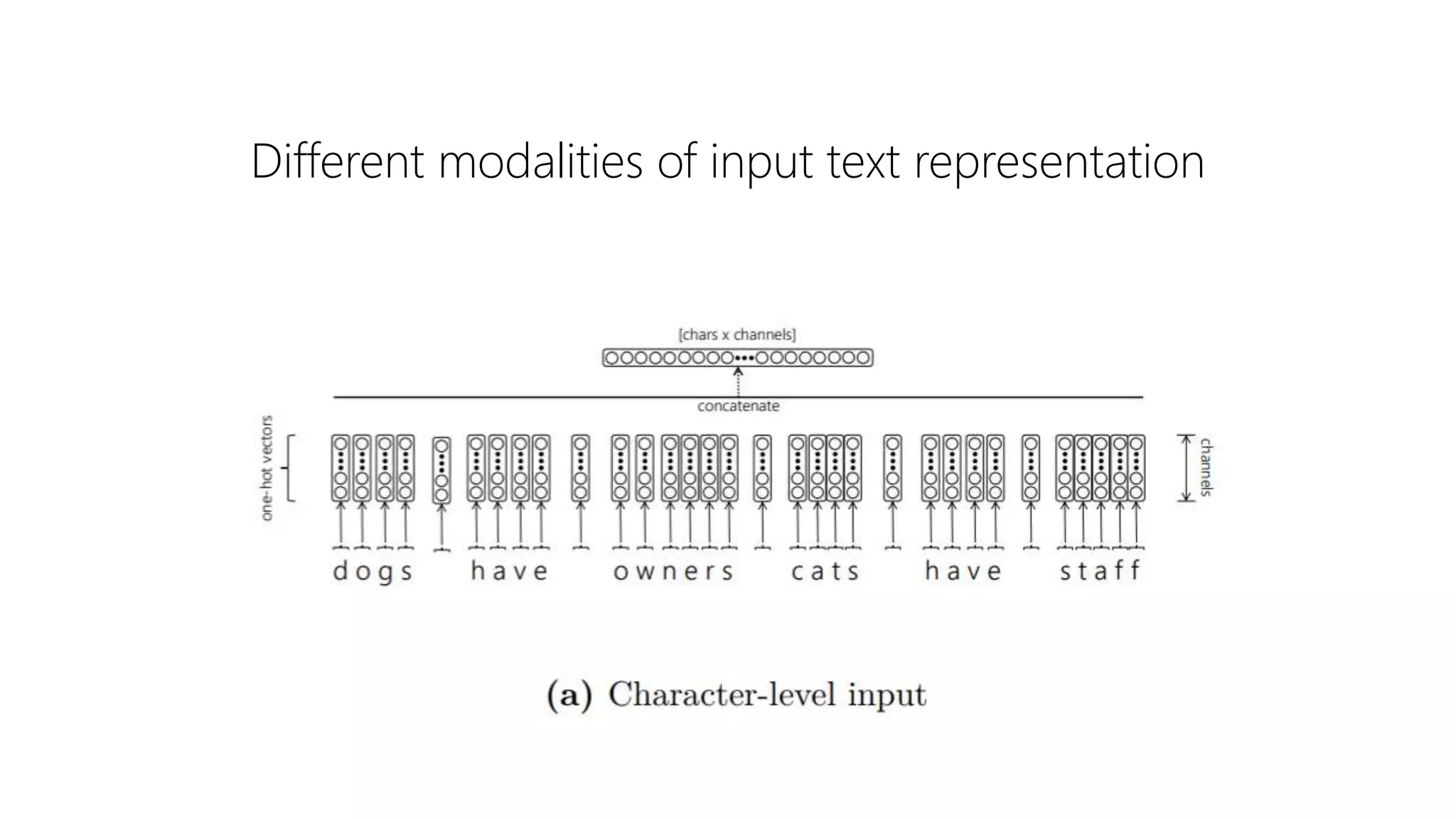 Different modalities of input text representation
 