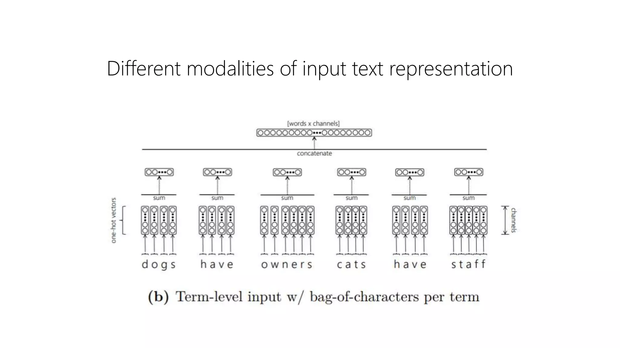 Different modalities of input text representation
 