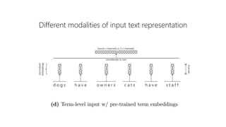 Different modalities of input text representation
 
