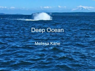 Deep Ocean Melissa Kane 