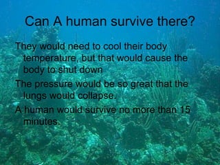 Can A human survive there? They would need to cool their body temperature, but that would cause the body to shut down The pressure would be so great that the lungs would collapse. A human would survive no more than 15 minutes.
