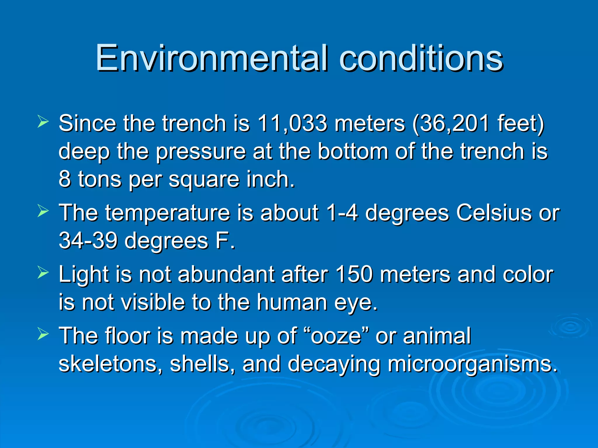 Environmental conditions Since the trench is 11,033 meters (36,201 feet) deep the pressure at the bottom of the trench is 8 tons per square inch. The temperature is about 1-4 degrees Celsius or 34-39 degrees F. Light is not abundant after 150 meters and color is not visible to the human eye. The floor is made up of “ooze” or animal skeletons, shells, and decaying microorganisms. 