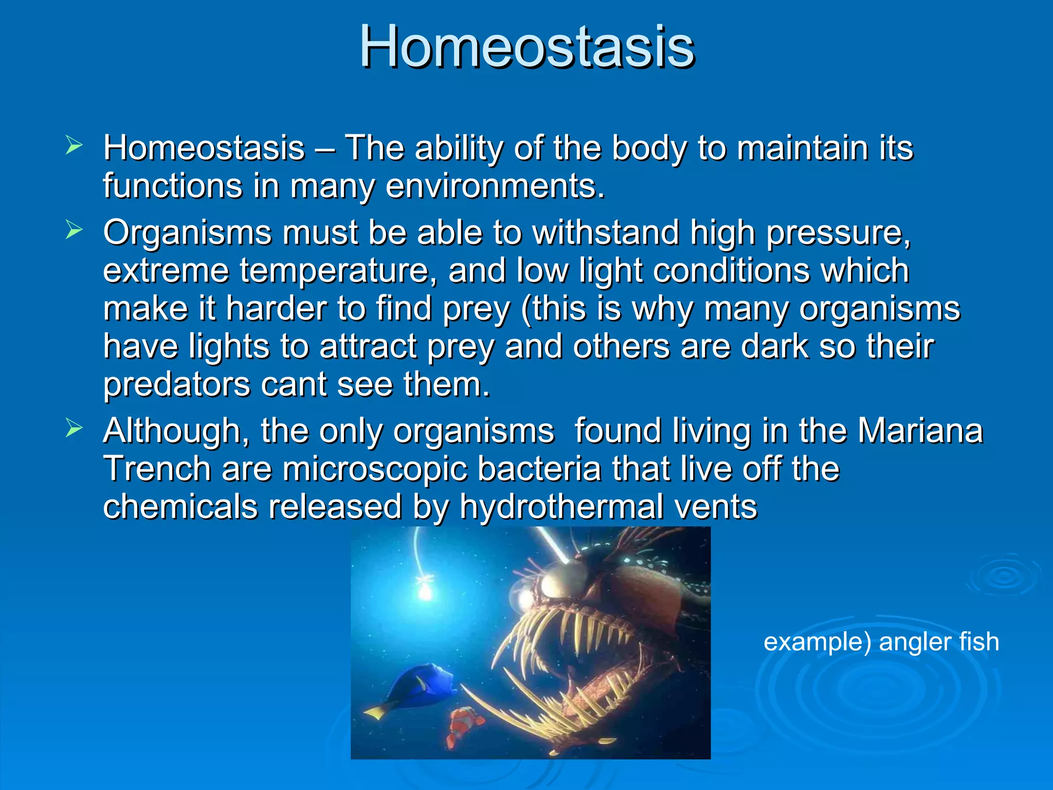 Homeostasis Homeostasis – The ability of the body to maintain its functions in many environments. Organisms must be able to withstand high pressure, extreme temperature, and low light conditions which make it harder to find prey (this is why many organisms have lights to attract prey and others are dark so their predators cant see them. Although, the only organisms  found living in the Mariana Trench are microscopic bacteria that live off the chemicals released by hydrothermal vents example) angler fish 