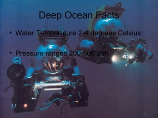Deep Ocean Facts Water Temperature 2-4 degrees Celsius Pressure ranges 200-600 atm 