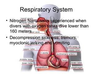 Respiratory System Nitrogen Narcosis is experienced when divers with oxygen tanks dive lower than 160 meters Decompression sickness, tremors, myoclonic jerking and vomiting 