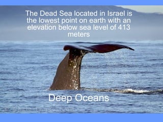 Deep Oceans The Dead Sea located in Israel is the lowest point on earth with an elevation below sea level of 413 meters 