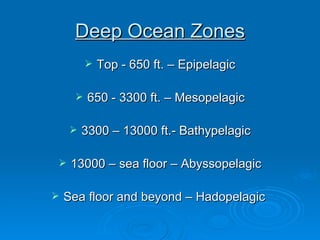 Deep Ocean Zones Top - 650 ft. – Epipelagic 650 - 3300 ft. – Mesopelagic 3300 – 13000 ft.- Bathypelagic 13000 – sea floor – Abyssopelagic Sea floor and beyond – Hadopelagic