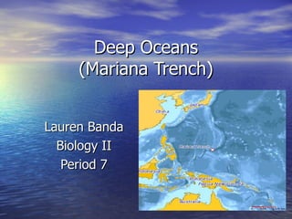 Deep Oceans (Mariana Trench) Lauren Banda Biology II Period 7 
