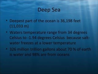 Deep Sea ,[object Object],[object Object],[object Object]