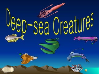 Deep-sea Creatures 