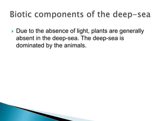  Due to the absence of light, plants are generally
absent in the deep-sea. The deep-sea is
dominated by the animals.
 
