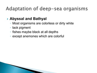  Abyssal and Bathyal
◦ Most organisms are colorless or dirty white
◦ lack pigment
◦ fishes maybe black at all depths
◦ except anemones which are colorful
 
