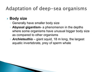  Body size
◦ Generally have smaller body size
◦ Abyssal gigantism- a phenomenon in the depths
where some organisms have unusual bigger body size
as compared to other organisms
◦ Archieteuthis – giant squid, 18 m long, the largest
aquatic invertebrate, prey of sperm whale
 