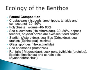  Faunal Composition
 Crustaceans ( isopods, amphipods, tanaids and
cumaceans)- 30- 50%
 Polychaete worms- 40- 80%
 Sea cucumbers (Holothuroidae)- 30- 80%, deposit
feeders, abyssal oozes are excellent food source
 Starfish (Asteroidea), sea lilies (Crinoidea), sea
urchins (Echinodea)- minimal
 Glass sponges (Hexactinellida)
 Sea anemones (Anthozoa)
 Rat tails ( Macrouidae), cusk eels, bythidids (brotulas),
liparids (snaifishes) and certain eels
(Synaphobranchus)
 