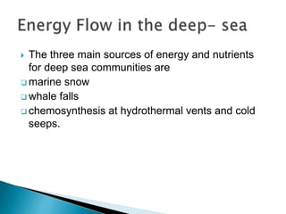  The three main sources of energy and nutrients
for deep sea communities are
 marine snow
 whale falls
 chemosynthesis at hydrothermal vents and cold
seeps.
 