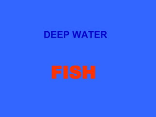 DEEP WATER FISH 