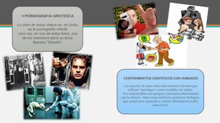 PORNOGRAFIA GROTESCA
-Lo peor de estos videos es, sin duda,
es la pornografía infantil
-Una vez, en uno de estos foros, uno
de los miembros abrió un tema
llamado "Desafío"
EXPERIMENTOS CIENTIFICOS CON HUMANOS
-La mayoría de estos sitios descubiertos afirman que
utilizan "mendigos" como conejillos de indias.
-Los responsables son grupos o personas relacionadas
con la ciencia - tales como médicos, químicos, biólogos,
que actúan por separado y reúnen información sobre
estos foros.
 