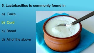 5. Lactobacillus is commonly found in
a) Cake
b) Curd
c) Bread
d) All of the above
 