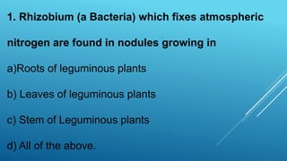 1. Rhizobium (a Bacteria) which fixes atmospheric
nitrogen are found in nodules growing in
a)Roots of leguminous plants
b) Leaves of leguminous plants
c) Stem of Leguminous plants
d) All of the above.
 