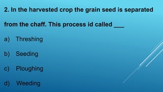 2. In the harvested crop the grain seed is separated
from the chaff. This process id called ___
a) Threshing
b) Seeding
c) Ploughing
d) Weeding
 