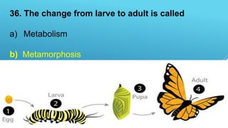 36. The change from larve to adult is called
a) Metabolism
b) Metamorphosis
c) Metastasis
d) Morphology
 