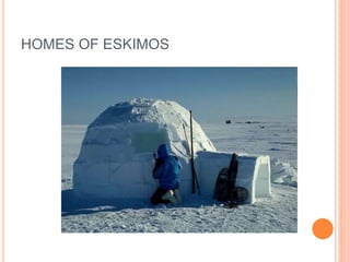 HOMES OF ESKIMOS 
 