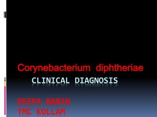 CLINICAL DIAGNOSIS
DEEPA BABIN
TMC KOLLAM
Corynebacterium diphtheriae
 