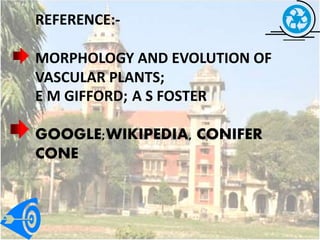 REFERENCE:-
MORPHOLOGY AND EVOLUTION OF
VASCULAR PLANTS;
E M GIFFORD; A S FOSTER
GOOGLE;WIKIPEDIA, CONIFER
CONE
 