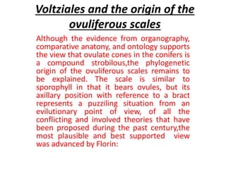 Voltziales and the origin of the
ovuliferous scales
Although the evidence from organography,
comparative anatony, and ontology supports
the view that ovulate cones in the conifers is
a compound strobilous,the phylogenetic
origin of the ovuliferous scales remains to
be explained. The scale is similar to
sporophyll in that it bears ovules, but its
axillary position with reference to a bract
represents a puzziling situation from an
evilutionary point of view, of all the
conflicting and involved theories that have
been proposed during the past century,the
most plausible and best supported view
was advanced by Florin:
 