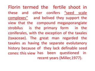Florin termed the fertile shoot in
these and other conifers “seed scale
complexes” and belived they support the
view that the compound megasporangiate
strobilus is the primary form in the
coniferales, with the exception of the taxales
(taxaceae). The great man regarded the
taxales as having the separate evolutanory
history because of they lack definable seed
cones: this view has been questioned in
recent years (Miller,1977).
 