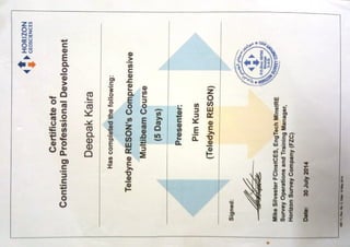 Professional development certificate