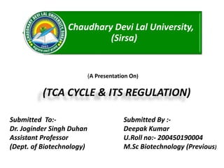 (TCA CYCLE & ITS REGULATION)
Submitted To:-
Dr. Joginder Singh Duhan
Assistant Professor
(Dept. of Biotechnology)
Submitted By :-
Deepak Kumar
U.Roll no:- 200450190004
M.Sc Biotechnology (Previous)
Chaudhary Devi Lal University,
(Sirsa)
(A Presentation On)
 