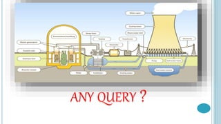 nuclear power plant ppt RAPS | PPTX