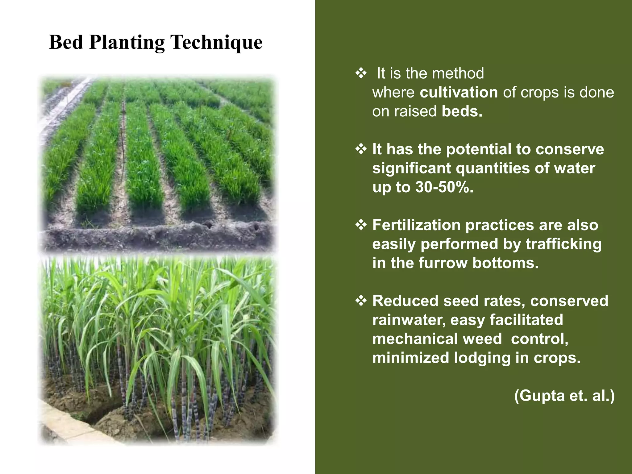 Bed Planting Technique
 It is the method
where cultivation of crops is done
on raised beds.
 It has the potential to conserve
significant quantities of water
up to 30-50%.
 Fertilization practices are also
easily performed by trafficking
in the furrow bottoms.
 Reduced seed rates, conserved
rainwater, easy facilitated
mechanical weed control,
minimized lodging in crops.
(Gupta et. al.)
 