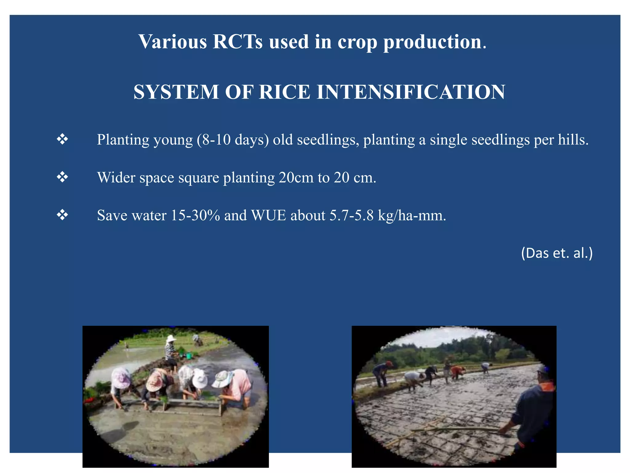 Various RCTs used in crop production.
SYSTEM OF RICE INTENSIFICATION
 Planting young (8-10 days) old seedlings, planting a single seedlings per hills.
 Wider space square planting 20cm to 20 cm.
 Save water 15-30% and WUE about 5.7-5.8 kg/ha-mm.
(Das et. al.)
 
